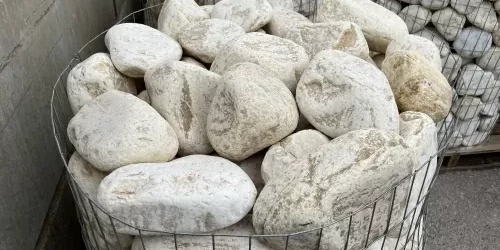 Canto Rodado Vainilla